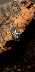 img_7916.jpg