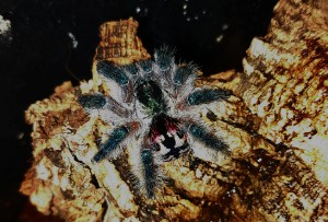 5e184af2-d859-4aea-ab6b-714466e95097.jpeg